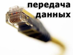 photo_999_20060203